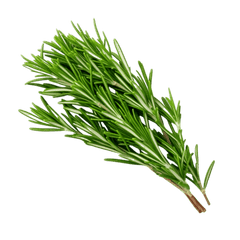 Rosemary