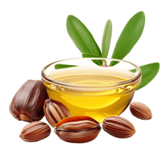 Jojoba oil icon