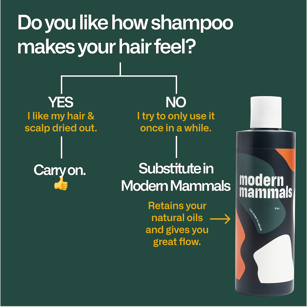 What to Expect When You Switch to Natural Shampoo