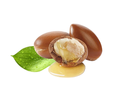 Close-up of argan nuts and oil showing a cracked nut with an oil droplet on white background